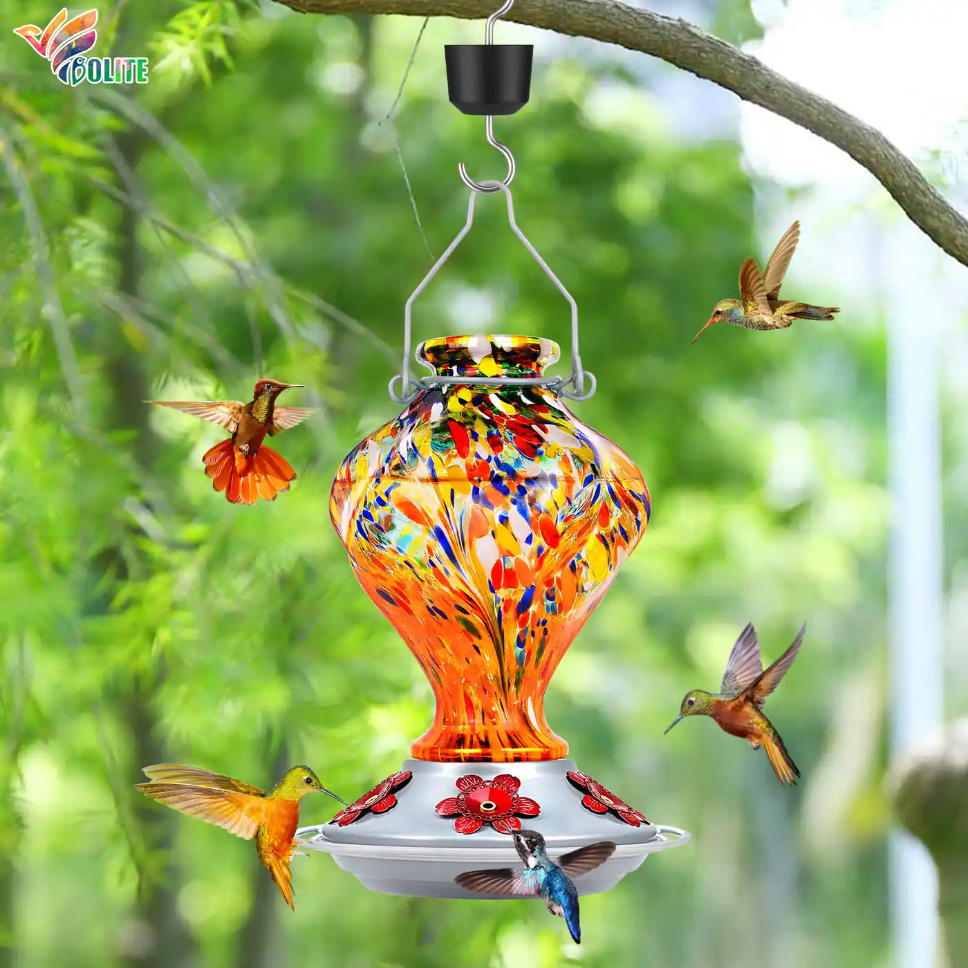 Hummingbird Feeders from Bolite