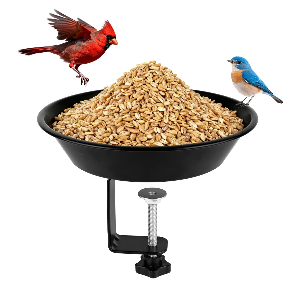 Balcony-Mounted Seed Tray