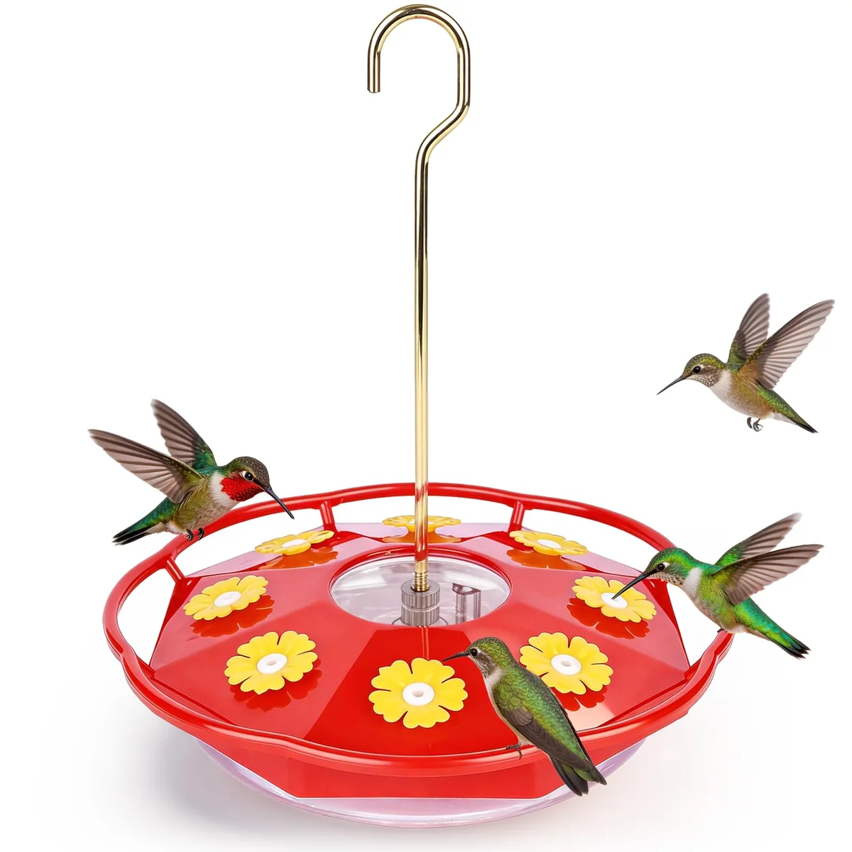 Flat Hummingbird Feeder