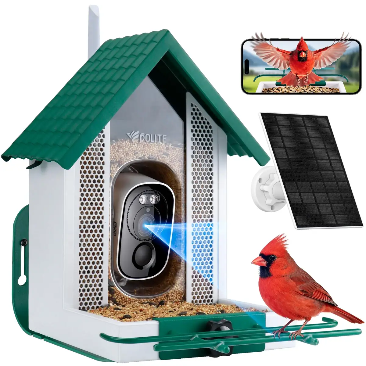 2.5K Smart Bird Feeder Camera